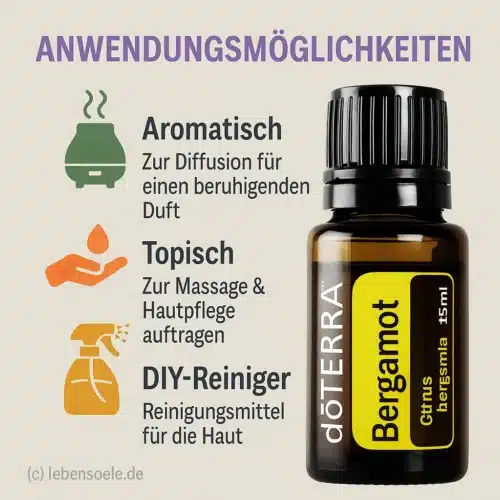 Bergamota - Bergamia cítrica - Bergamot - Imagen 2