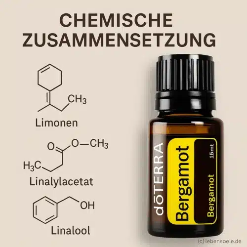Bergamota - Bergamia cítrica - Bergamot - Imagen 3
