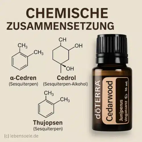 Cedarwood - Juniperus virginiana - Cedro - Imagen 3