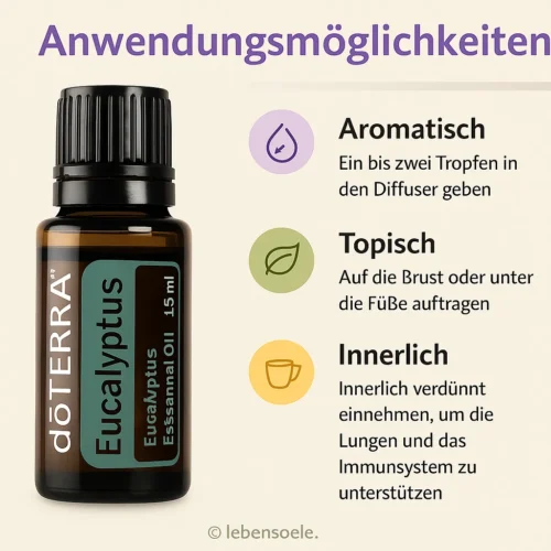 Eucalipto - Eucalyptus radiata- Eucalyptus - Imagen 2