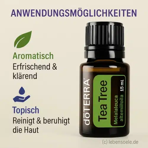 Melaleuca - Aceite de árbol de té - Tea Trea - Imagen 4
