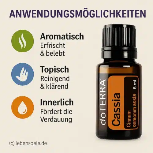 Cassia - Cinnamomum cassia - Imagen 2