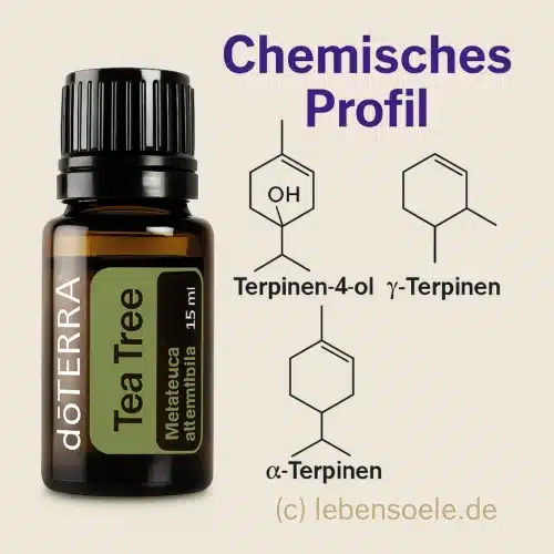 Melaleuca - Aceite de árbol de té - Tea Trea - Imagen 3
