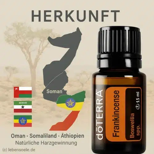 Incienso - Boswellia frereana - Frankincense - Imagen 3