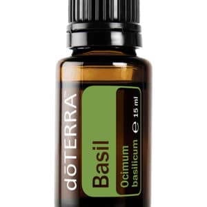 Albahaca – Ocimum basilicum – Basil