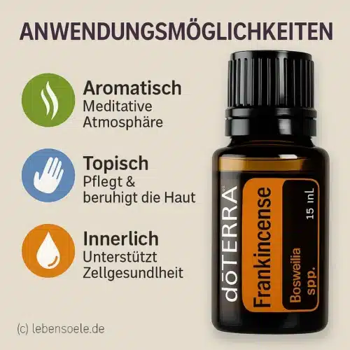 Incienso - Boswellia frereana - Frankincense - Imagen 4