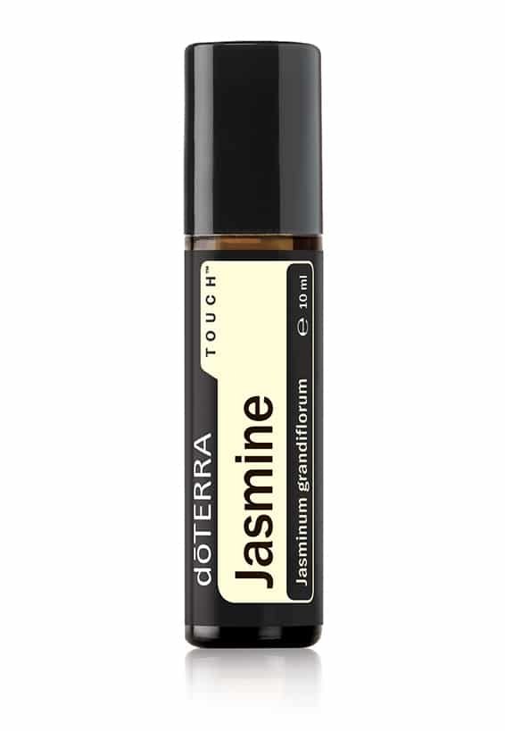 Jasmine Touch® – Jasminum grandiflorum – Jazmín