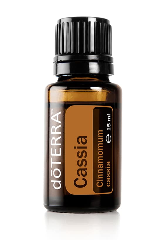 Cassia – Cinnamomum cassia