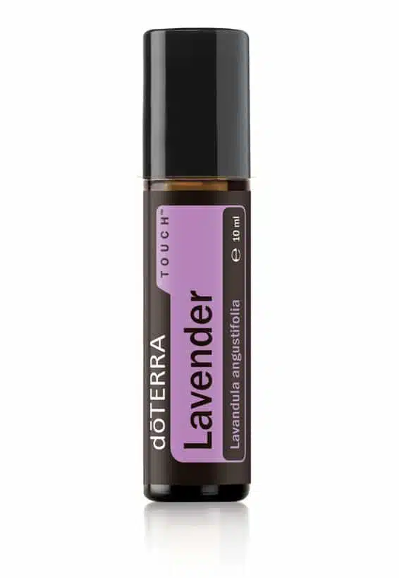 Lavender Touch® – Lavandula angustifolia – Lavanda