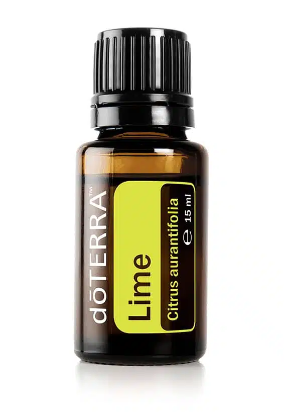 Lima – Citrus aurantifolia – Lime