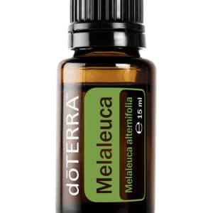 Melaleuca – Aceite de árbol de té – Tea Trea