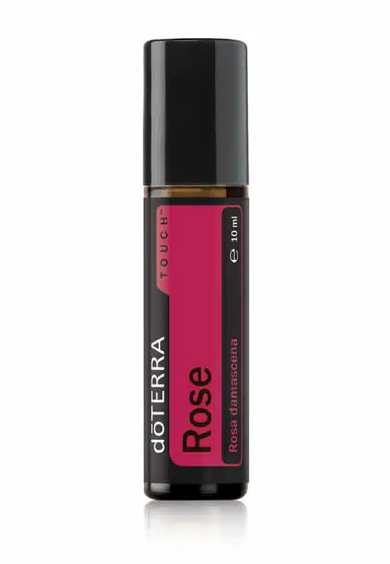 Toque de rosa – Rosa damascena – Rose Touch