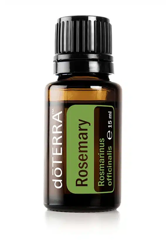 Romero – Rosmarinus officinalis – Rosemary