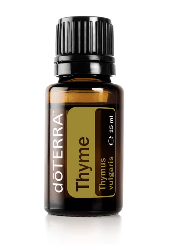Tomillo – Thymus vulgaris – Thyme