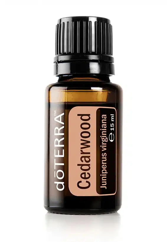 Cedarwood – Juniperus virginiana – Cedro