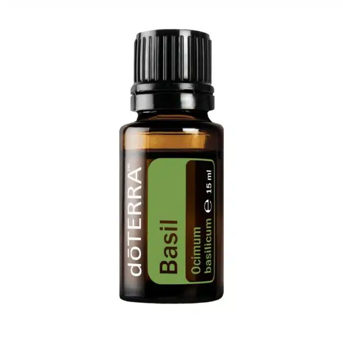 Albahaca – Ocimum basilicum – Basil