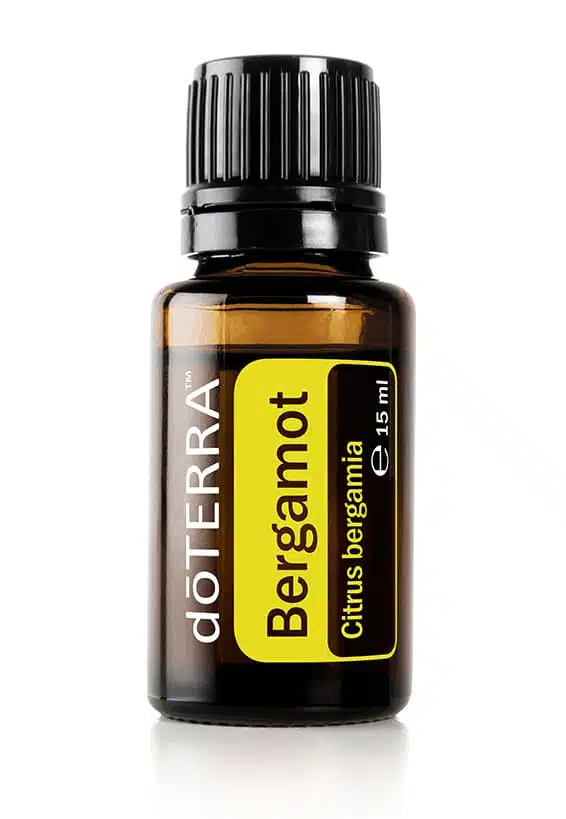 Bergamota – Bergamia cítrica – Bergamot