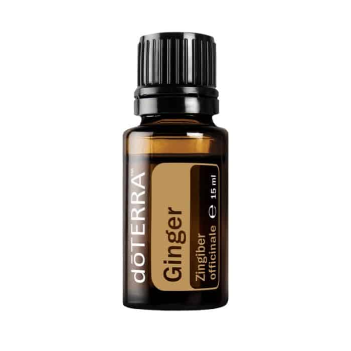 Jengibre – Zingiber officinale – Ginger