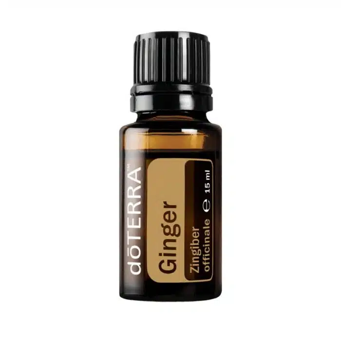 Jengibre – Zingiber officinale – Ginger