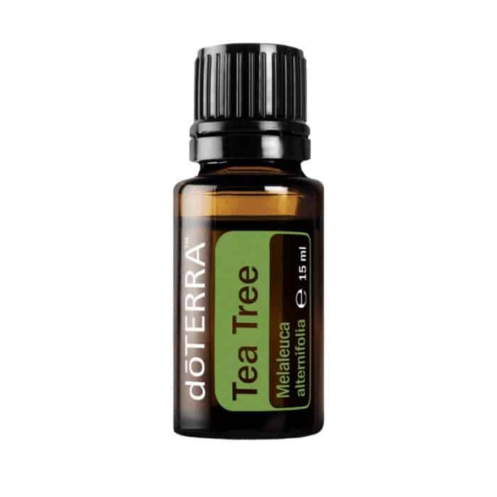 Melaleuca – Aceite de árbol de té – Tea Trea