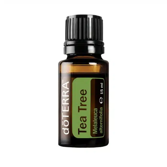 Melaleuca – Aceite de árbol de té – Tea Trea