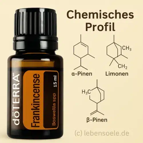 Incienso - Boswellia frereana - Frankincense - Imagen 5