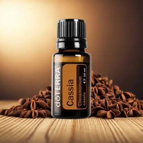 Cassia - Cinnamomum cassia - Imagen 5