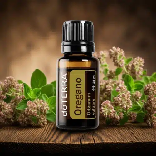 Orégano Origanum vulgare - Oregano - Imagen 5