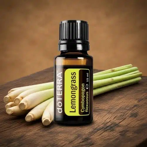 Lemongrass - Cymbopogon flexuosus - Imagen 5