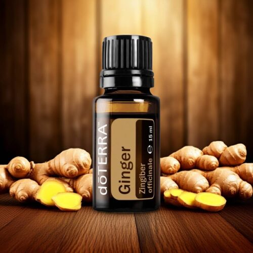 Jengibre - Zingiber officinale - Ginger - Imagen 5
