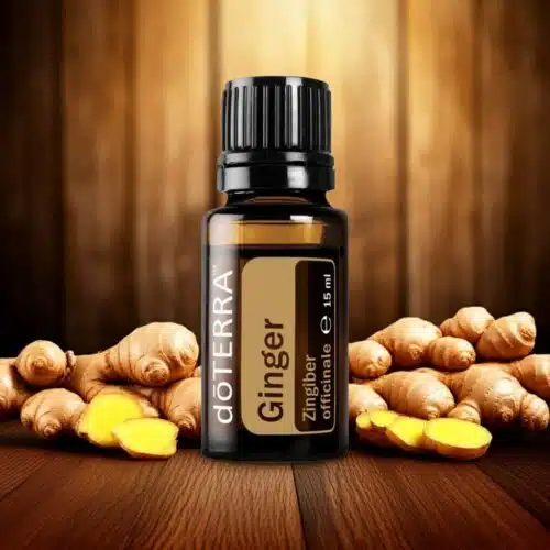 Jengibre - Zingiber officinale - Ginger - Imagen 5