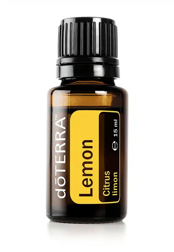 Lemon – Citrus limon – Limón