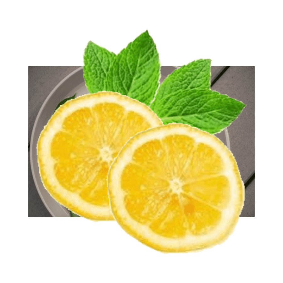 Lemon – Citrus limon – Limón