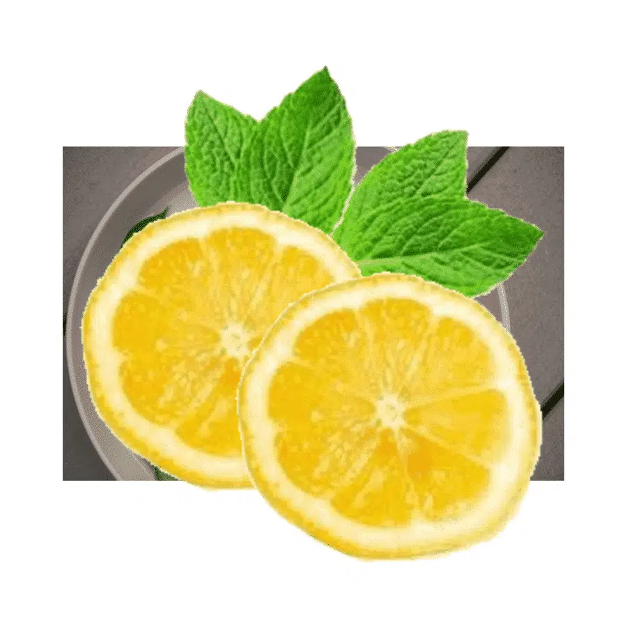 Lemon – Citrus limon – Limón