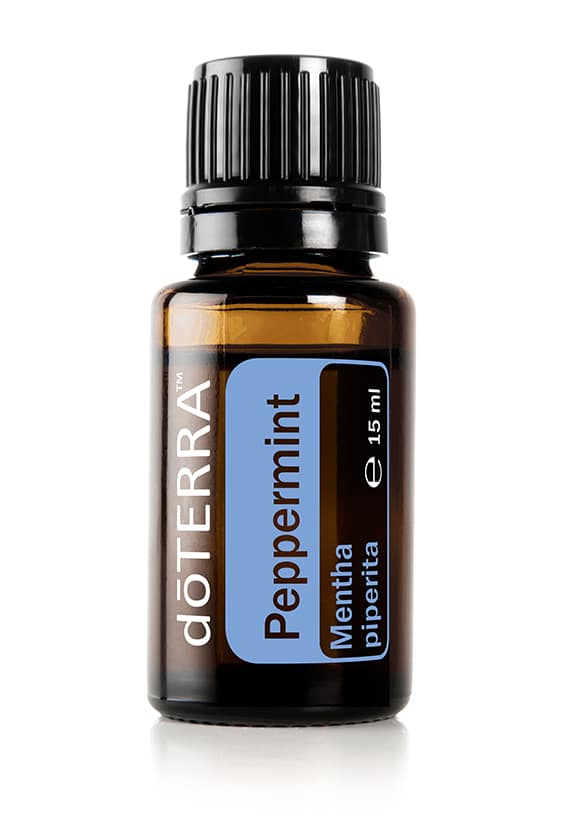 Peppermint – Mentha piperita – Menta