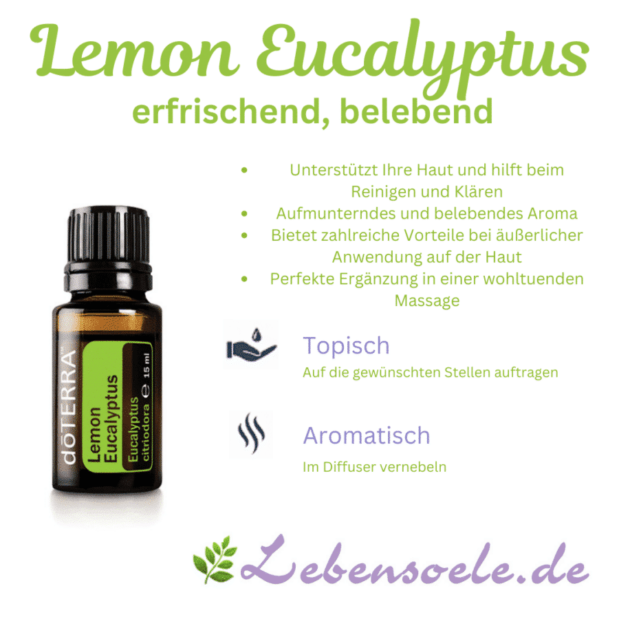Lemon Eucalyptus – Eucalyptus citriodora – Eucalipto Limón