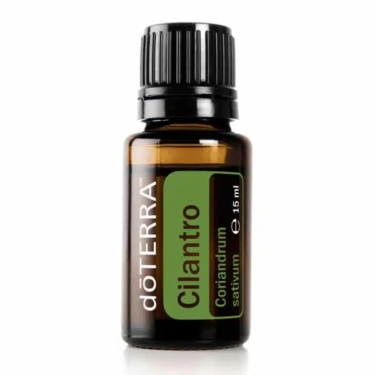 Cilantro – Coriandrum sativum