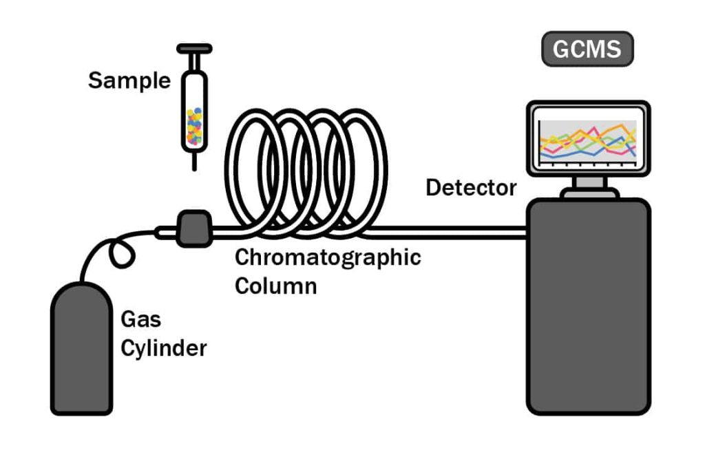 Gaschromatographie- und Massenspektrometrie-Analyse (GC/MS)