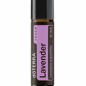 Lavendel Touch® Lavandula angustifolia - Lavender