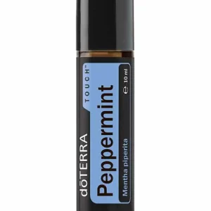 Die Pfefferminze
