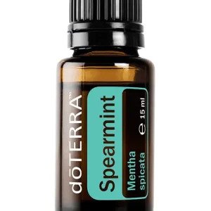 Grüne Minze Mentha spicata (Spearmint)